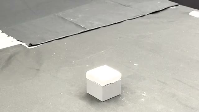 DexWM dexterous manipulation demonstration